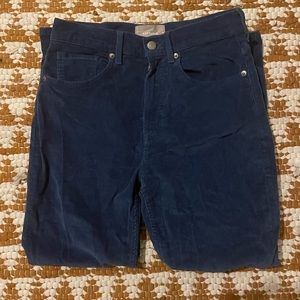 Everlane Blue Cheeky Straight Corduroy Pants